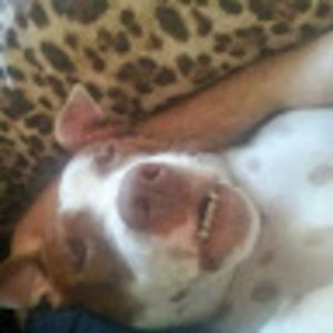 Meet your Posher, Jacinta